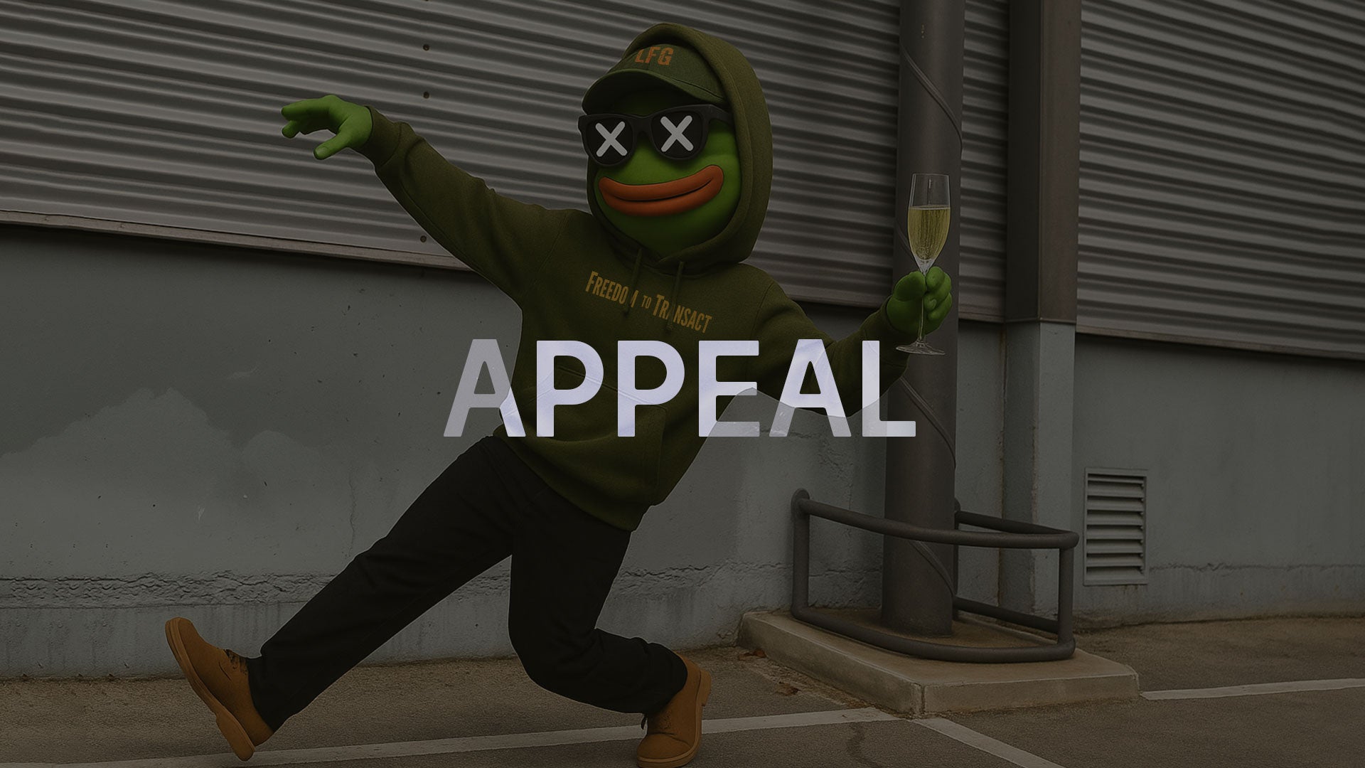Appeal