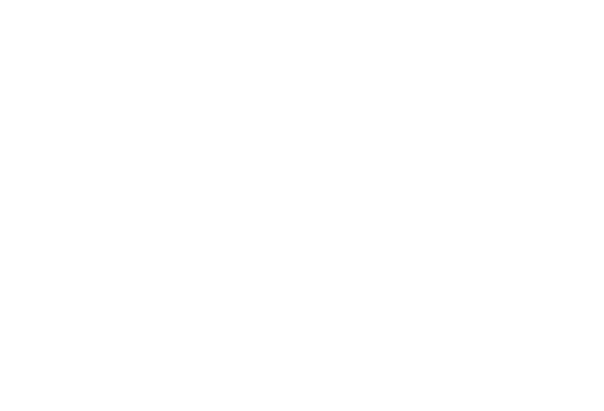 Sgt. Pepe World - Merch
